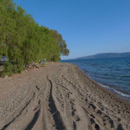 Apt 30M From Beach Apartment Amarynthos Exterior photo